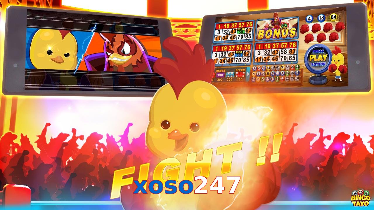 xoso247